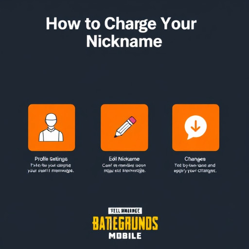 Как изменить ник в PUBG Mobile: полный гайд
